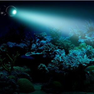 Hagen Fluval Prism Multi-Color Underwater LED Spotlight