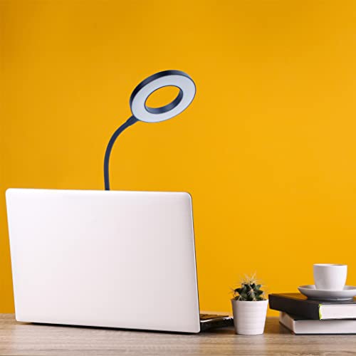 Newhouse Lighting Zlata Painted Black Plastic Tap or Touch Switch Dimmable and Adjustable Color Temperature Office Desk Lamp with 21 LEDs and USB Port