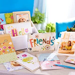 American Greetings Friendship Cards, Assorted (12-Count)