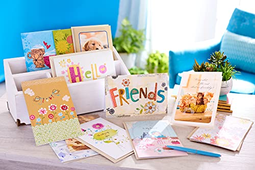 American Greetings Friendship Cards, Assorted (12-Count)