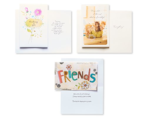 American Greetings Friendship Cards, Assorted (12-Count)