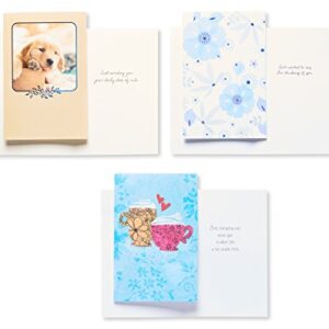 American Greetings Friendship Cards, Assorted (12-Count)