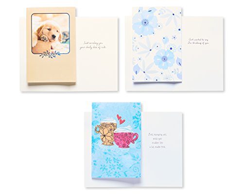 American Greetings Friendship Cards, Assorted (12-Count)