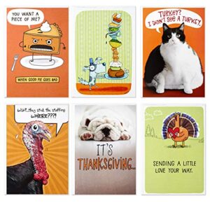 hallmark funny shoebox funny thanksgiving card assortment (6 cards with envelopes)