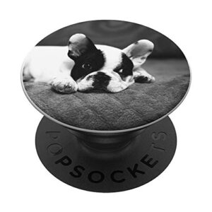 pop socket french bulldog girls boys men women popsockets popgrip: swappable grip for phones & tablets