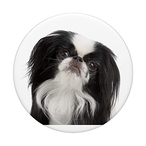 Japanese Chin PopSockets PopGrip: Swappable Grip for Phones & Tablets