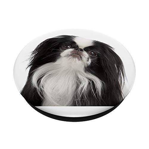 Japanese Chin PopSockets PopGrip: Swappable Grip for Phones & Tablets