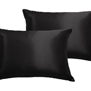 2-PCS Silky Soft Satin Solid Color Luxurious Decorative Throw Pillow Covers (Black, 12" x 20")