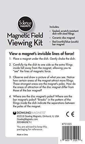 Dowling Magnets Magnetic Field Viewing Kit with Steel Filings