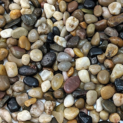 Natural Decorative Polished Mixed Pebbles 3/8" Gravel Size (5-lb Bag)