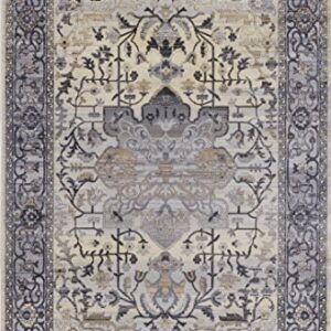 Pierre Cardin Cosmos Collection Oriental Design Area Rugs for Living Room Carpets (5' x 8', Multi (CS13D))