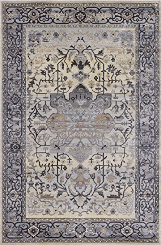 Pierre Cardin Cosmos Collection Oriental Design Area Rugs for Living Room Carpets (5' x 8', Multi (CS13D))