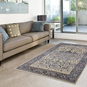 Pierre Cardin Cosmos Collection Oriental Design Area Rugs for Living Room Carpets (5' x 8', Multi (CS13D))