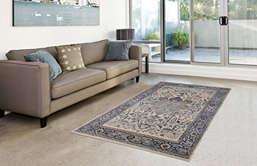 Pierre Cardin Cosmos Collection Oriental Design Area Rugs for Living Room Carpets (5' x 8', Multi (CS13D))