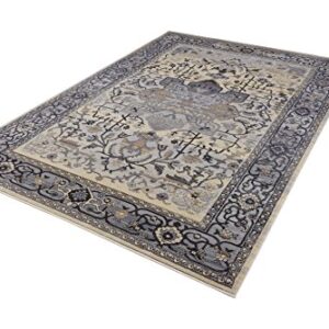 Pierre Cardin Cosmos Collection Oriental Design Area Rugs for Living Room Carpets (5' x 8', Multi (CS13D))