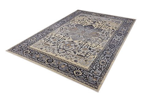 Pierre Cardin Cosmos Collection Oriental Design Area Rugs for Living Room Carpets (5' x 8', Multi (CS13D))