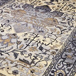 Pierre Cardin Cosmos Collection Oriental Design Area Rugs for Living Room Carpets (5' x 8', Multi (CS13D))