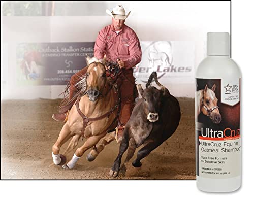 UltraCruz - sc-395309 Equine Oatmeal Horse Shampoo, 16 oz