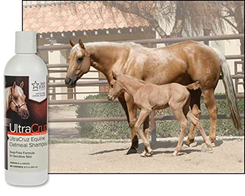 UltraCruz - sc-395309 Equine Oatmeal Horse Shampoo, 16 oz