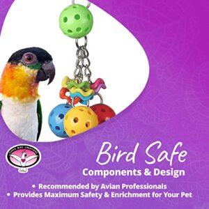 Super Bird Creations SB1093 Jingleberries Bird Toy, Small/Medium Bird Size, 6" x 2.5" x 2.5"