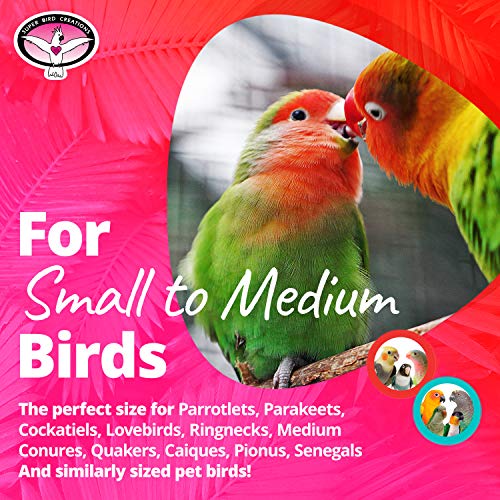 Super Bird Creations SB1086 Having a Ball Bird Toy, Small/Medium Bird Size, 6" x 2" x 2"