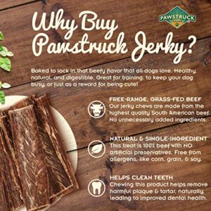 Pawstruck Joint Health Beef Jerky Dog Treat Chews, 4"-6", 25 Pack - Gourmet, Fresh & Savory Jerky - Naturally Rich in Glucosamine & Chondroitin - Promotes Healthy Joints & Tissue Growth