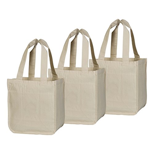 Best Canvas Grocery Shopping Bags - Canvas Grocery Shopping Bags with Handles - Cloth Grocery Tote Bags - Reusable Shopping Grocery Bags - Organic Cotton Washable & Eco-friendly Bags (3 Bags)