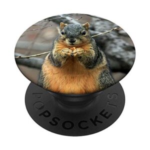 cute squirrel eating nuts animal lover gift popsockets grip and stand for phones and tablets