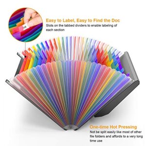 Accordian File Organizer,24 Pockets Expanding File Folder with Expandable Cover,Portable Expandable Plastic Filing Box,Accordion Bill/Paper/Document/Receipt Organizer with Colored Tabs(A4/Letter Size)