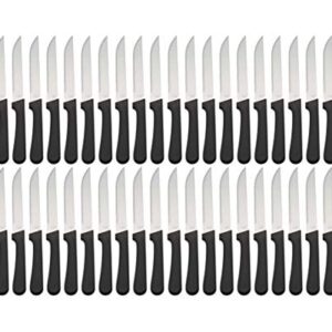 Tezzorio (Set of 48) Serrated-Edge Pointed-Tip Steak Knives, 5-Inch Stainless Steel Blade Steak Knives with Plastic Handles for Restaurants