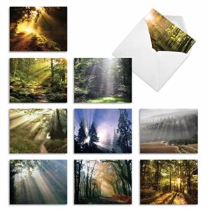 the best card company - 10 assorted sympathy cards boxed (4 x 5.12 inch) - condolence, bereavement greetings - shining through am1735smg-b1x10