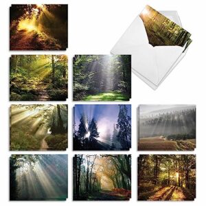 the best card company - 20 landscape nature note cards blank (4 x 5.12 inch) (10 designs, 2 each) - shining through am1735ocb-b2x10