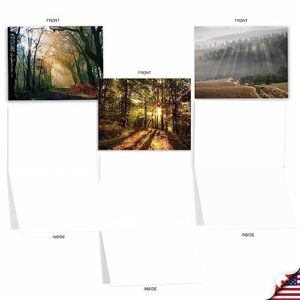 The Best Card Company - 20 Landscape Nature Note Cards Blank (4 x 5.12 Inch) (10 Designs, 2 Each) - Shining Through AM1735OCB-B2x10