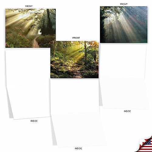 The Best Card Company - 20 Landscape Nature Note Cards Blank (4 x 5.12 Inch) (10 Designs, 2 Each) - Shining Through AM1735OCB-B2x10