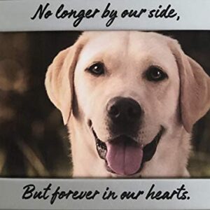 NewLifeLandia Pet Memorial Picture Frame Keepsake for Dog or Cat, Perfect Loss of Pet Gift for Remembrance and Healing