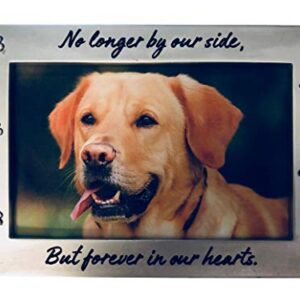 NewLifeLandia Pet Memorial Picture Frame Keepsake for Dog or Cat, Perfect Loss of Pet Gift for Remembrance and Healing