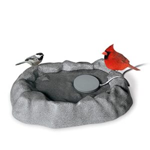 k&h pet products thermo-birdbath 1 gallon outdoor heated bird bath for wild birds with removable birdbath heater