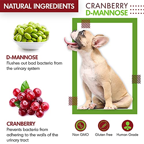 Cranberry D-Mannose for Dogs and Cats Urinary Tract Infection Support Prevents and Eliminates UTI, Bladder Infection Kidney Support, Antioxidant (Single Strength Tablet, 60 Count)