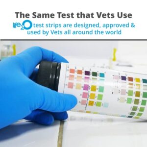 life2O 10-Parameter Cat & Dog Urine Test Strips 60ct, Cat & Dog UTI Test Kit, Diabetes Testing for Diabetic Pets, Urinalysis Reagent Strips: Glucose, Specific Gravity, pH, Ketone, Protein & More.