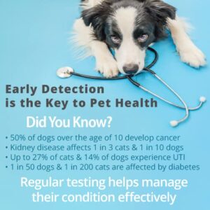 life2O 10-Parameter Cat & Dog Urine Test Strips 60ct, Cat & Dog UTI Test Kit, Diabetes Testing for Diabetic Pets, Urinalysis Reagent Strips: Glucose, Specific Gravity, pH, Ketone, Protein & More.