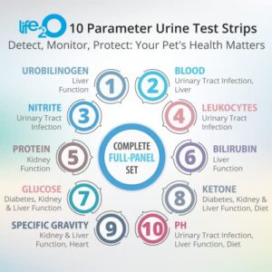 life2O 10-Parameter Cat & Dog Urine Test Strips 60ct, Cat & Dog UTI Test Kit, Diabetes Testing for Diabetic Pets, Urinalysis Reagent Strips: Glucose, Specific Gravity, pH, Ketone, Protein & More.