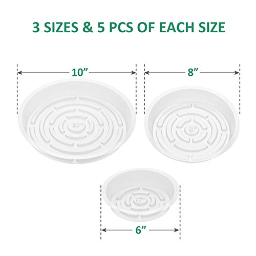 GROWNEER 15 Pack of 6, 8, 10 Inches Clear Plant Saucers Flower Pot Trays, with 15 Pcs Plant Labels, Plastic Plant Saucer Drip Trays for Indoor Outdoor Plants Garden