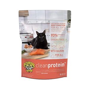 dr. elsey's cleanprotein salmon formula dry cat food, 2 pound (pack of 1)