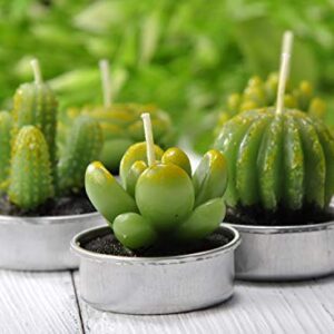 LA BELLEFÉE Tea lights Candles Gift Set, Cactus Terrarium Candle Delicate Succulent Handmade Cute Small Candles for Home Plant Gifts, Party Wedding Mothers Day Valentines Day Gifts Decoration(6 Packs)