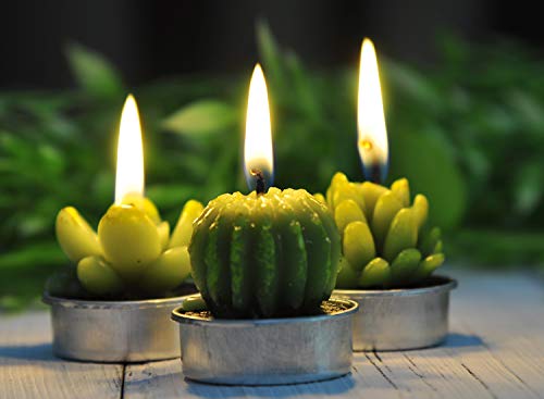 LA BELLEFÉE Tea lights Candles Gift Set, Cactus Terrarium Candle Delicate Succulent Handmade Cute Small Candles for Home Plant Gifts, Party Wedding Mothers Day Valentines Day Gifts Decoration(6 Packs)