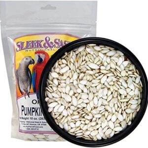 SLEEK & SASSY NUTRITIONAL DIET Oregon Pumpkin Seeds Bird Treat (10 oz.)