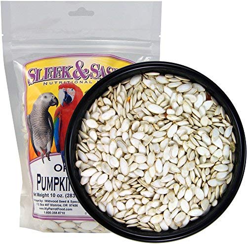 SLEEK & SASSY NUTRITIONAL DIET Oregon Pumpkin Seeds Bird Treat (10 oz.)