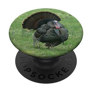 wild turkey strutting tom hunting photo popsockets popgrip: swappable grip for phones & tablets
