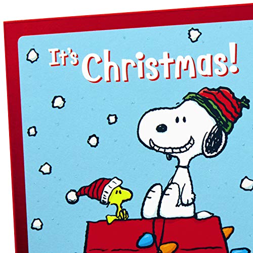 Hallmark Peanuts Christmas Cards Assortment, Snoopy and Woodstock (6 Cards with Envelopes, 2 Designs)