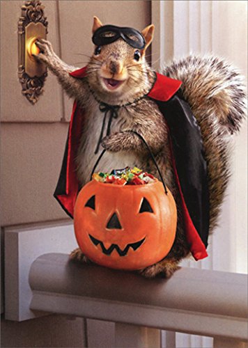 Avanti, Squirrel Trick Or Treating